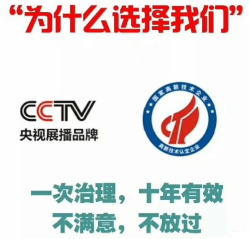 除甲醛公司如何選擇？