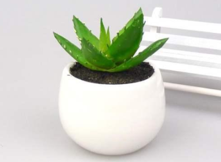 甲醛的克星是什么？