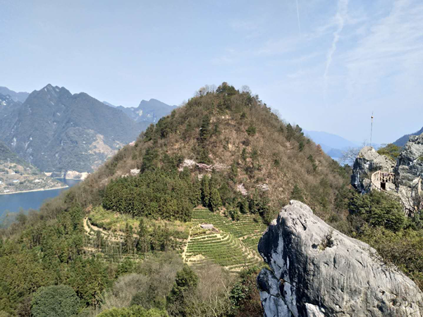 格瑞樂環(huán)保，我環(huán)保我快樂，踏春行