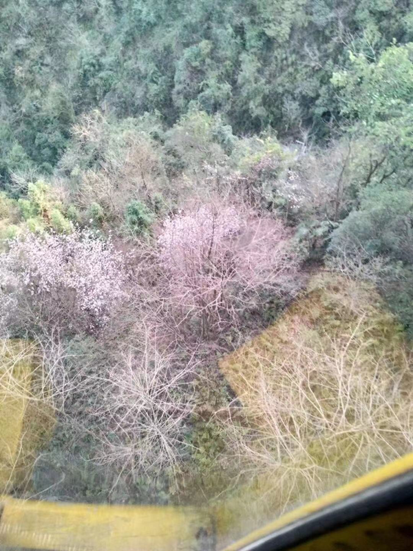 格瑞樂環(huán)保 ，我環(huán)保我快樂，踏春行