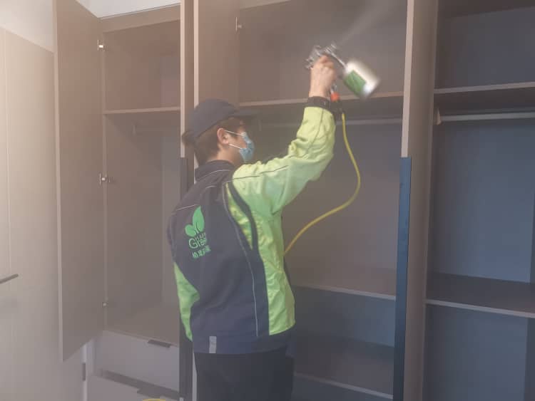 蔡甸除醛花幾多錢？格瑞樂超劃算！