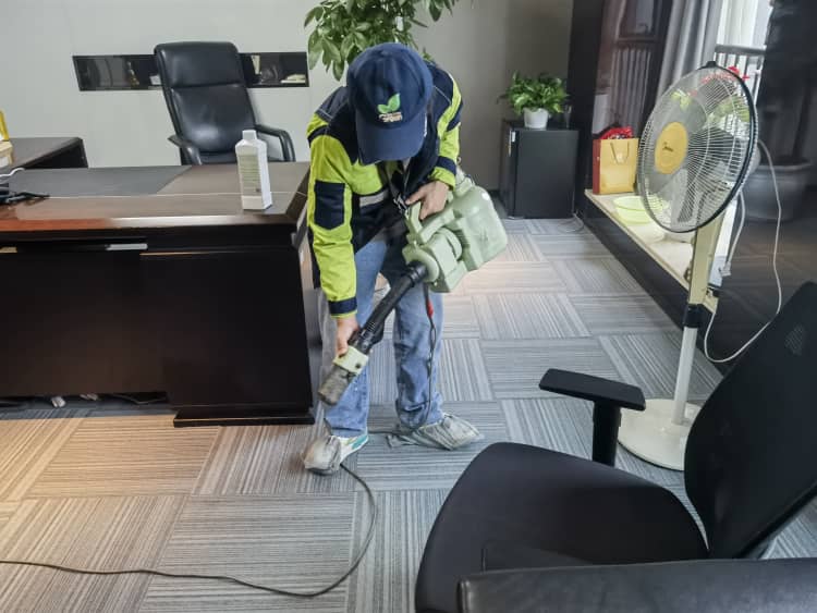 武漢除甲醛：4種常見招兒靠譜嗎？